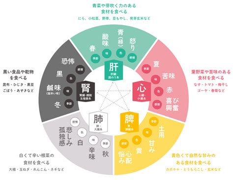 五情 五行|【漢方基礎知識】中医学の基礎となる哲学「五行学説」